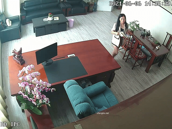 Record of the affair of a female owner of a photography shop in Hebei Province (animation)
